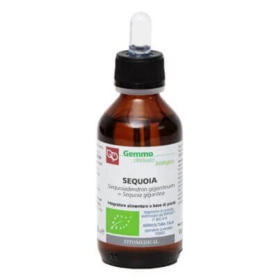 Sequoia gliceric macerat 100 ml organic