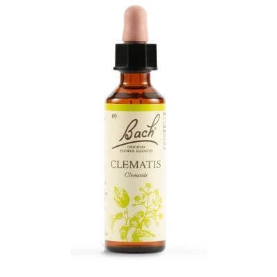 Clematis bach orig 20 ml