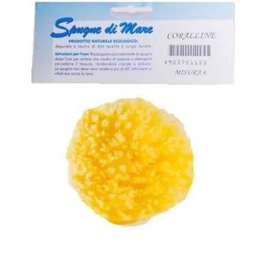 Burete de mare natural mic