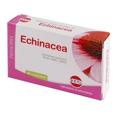 Echinacea extract uscat 60 comprimate