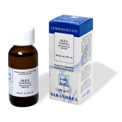 Olea europaea 100 ml macerat gliceric