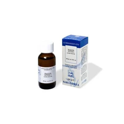 Fagus sylvatica 100 ml macerat gliceric