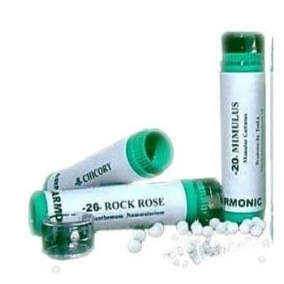 Armonic 15 holly 70gr