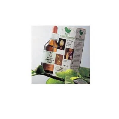 Betula verrucosa macerat gliceric 100 ml
