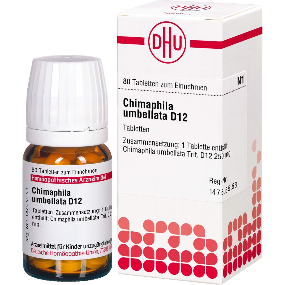 Chimaphila Umbellata D 12 Tabletten 80 St