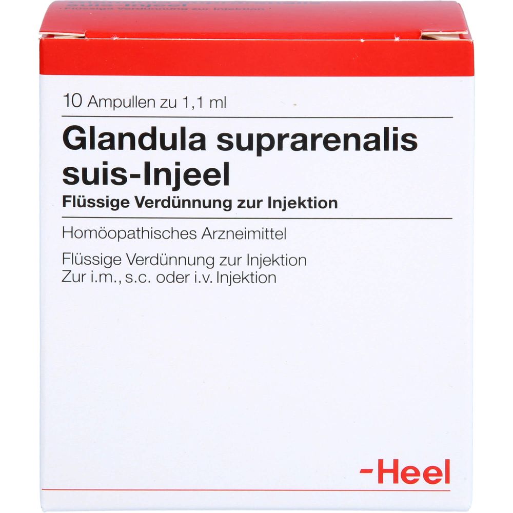 Glandula Suprarenalis suis Injeel Ampullen 10 St