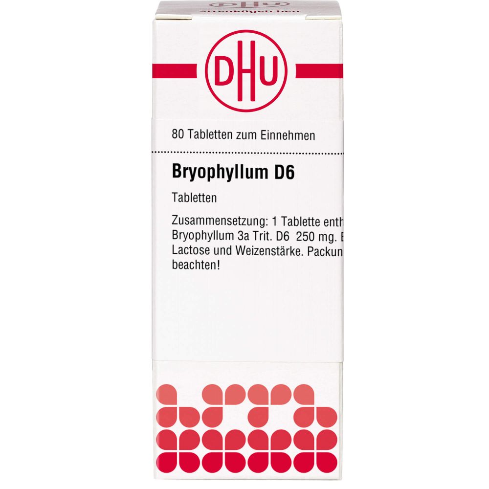 Bryophyllum D 6 Tabletten 80 St
