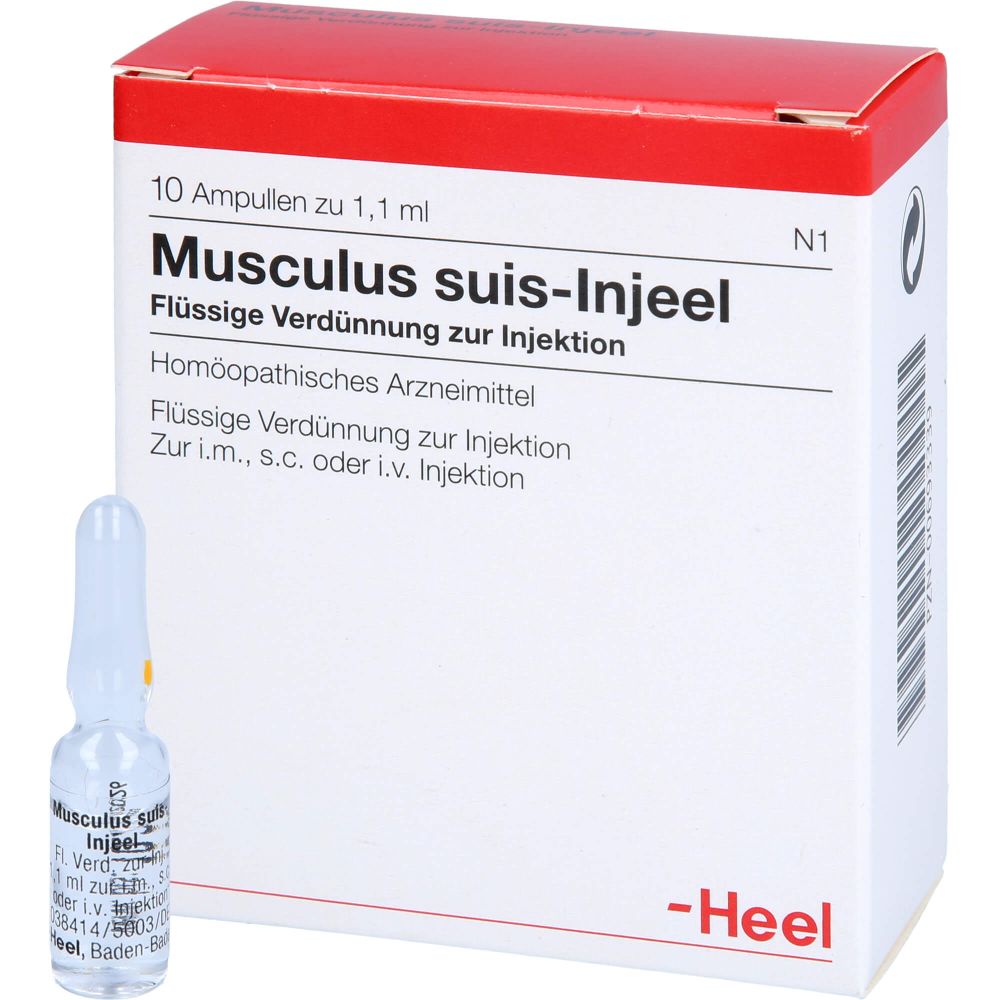 Musculus Suis Injeel Ampullen 10 St
