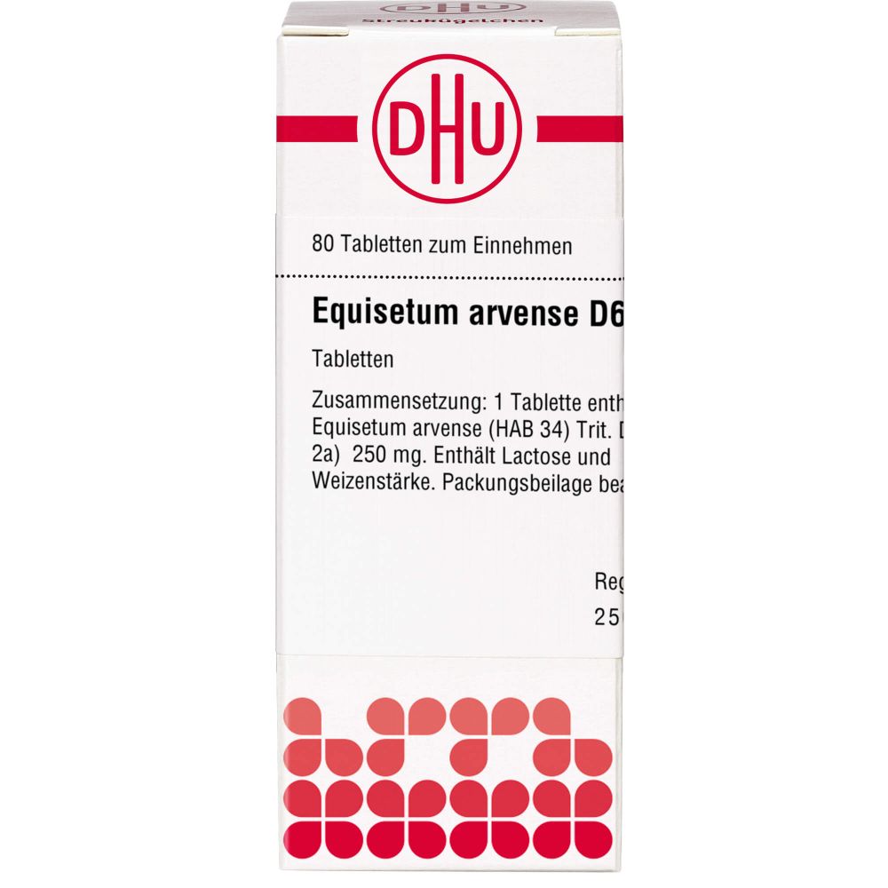 Equisetum Arvense D 6 Tabletten 80 St