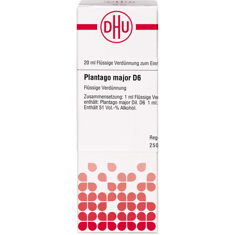 Plantago Major D 6 Dilution 20 ml
