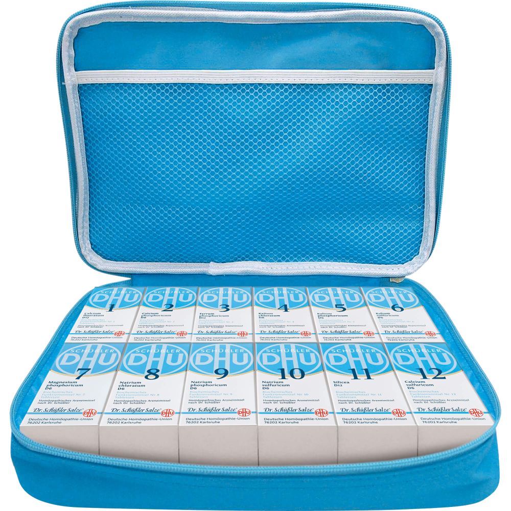 Biochemische Haus- u.Reiseapotheke klein 1 St