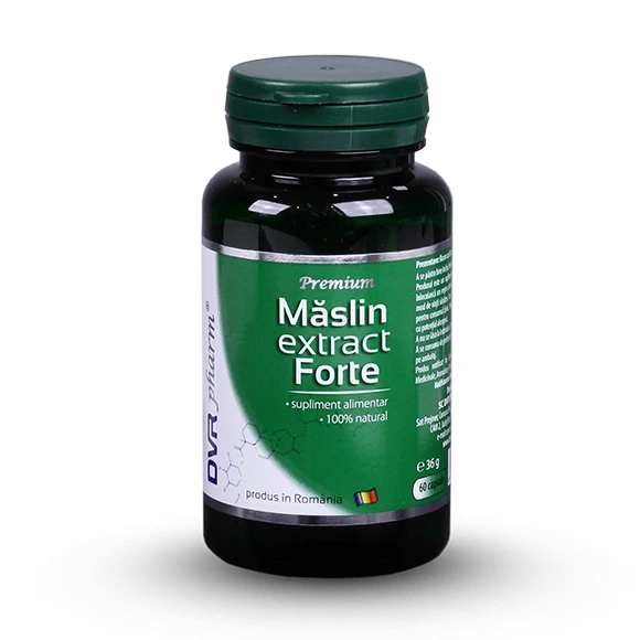 Maslin extract forte, 60 capsule, Dvr Pharm